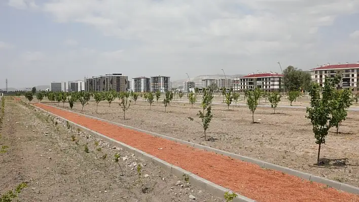 Çocukların dalından özgürce meyve yiyebileceği park!