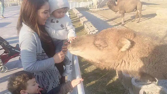 Çocukların, hayvan sevgisi!