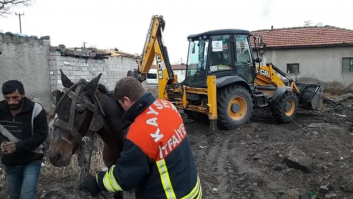 Çukura düşen atın yardımına itfaiye ekipleri yetişti