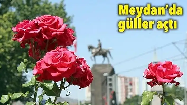 Cumhuriyet Meydanı'nda gül mevsimi...