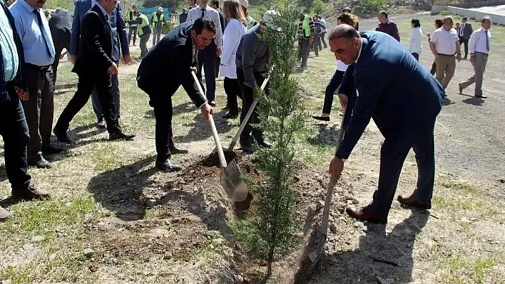 Daha yeşil Kayseri için bin adet fidan dikildi