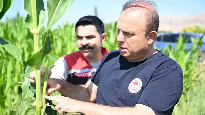Damlamayla büyüdüler, Müdür yerinde inceledi!