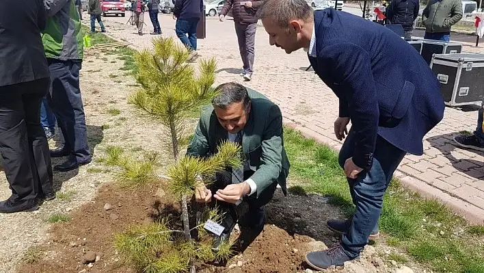 Develi'de Ağaç Dikme Etkinliği Düzenlendi