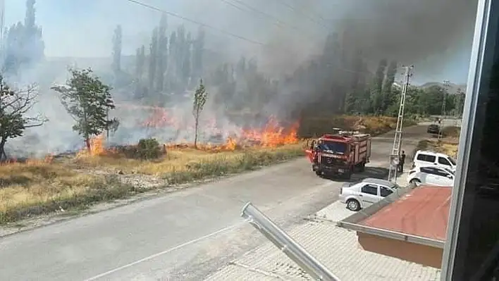 Develi'de bağ yangını