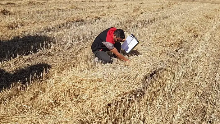 Develi'de ekipler iş başında! Çiftçiyi tek tek uyardılar