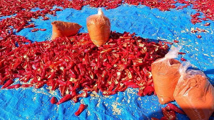 Develi'de üretilen herkesin konuştuğu 'Çayırözü Biberi'nin' sırrı ne?