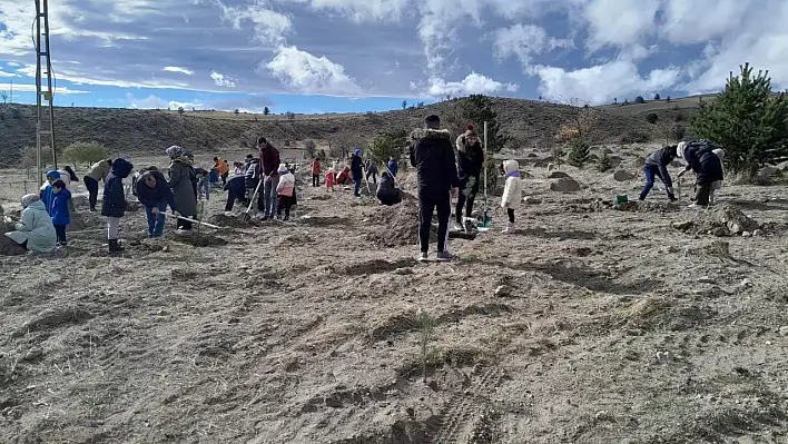 Develi'de yere bakın ne yazdılar?