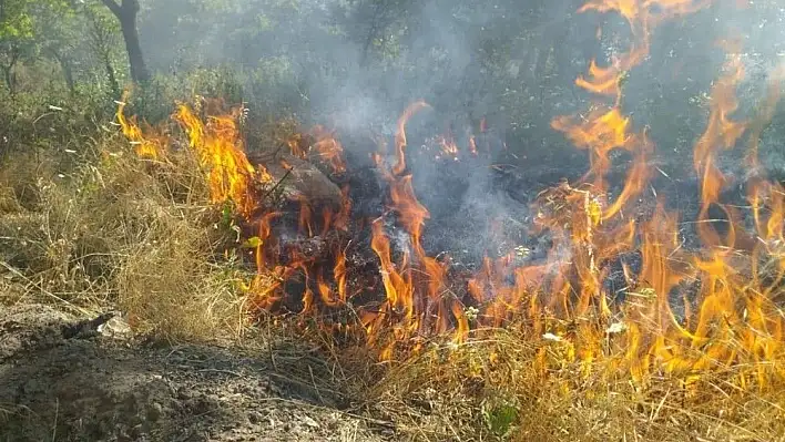 Develi'deki tarla yangınını itfaiye ekipleri söndürdü
