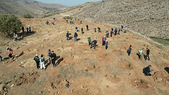 'Diktiğimiz ağaçların bizlerin günahlarına kefaret olacaklarına inanıyorum'