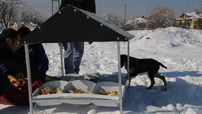 Doğa Dostu Belediye'den Hayvanlara Gıda Desteği