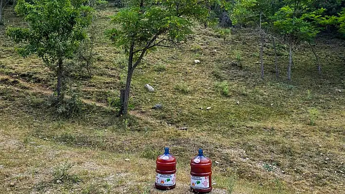 Doğada bu damacanaları görürseniz sakın şaşırmayın! İşte nedeni
