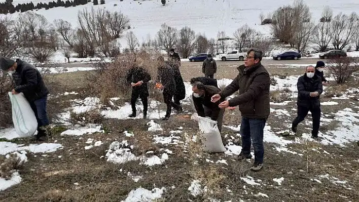 Doğadaki hayvanlara yem bırakıldı