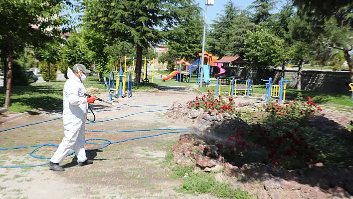 Dört can alan tehdide karşı ilaçlama seferberliği