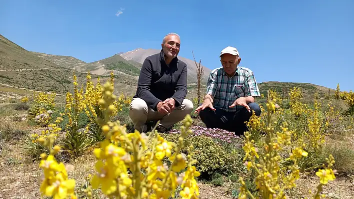 Dünyaca ünlü Erciyes'te bakın ne hazinesi çıktı!