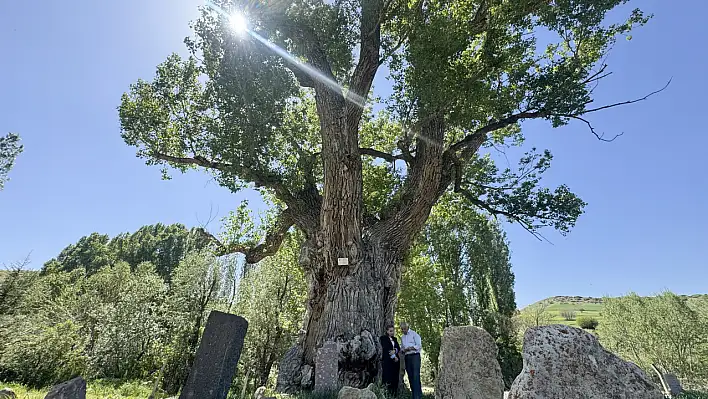 Dünyada eşi benzeri olmayan anıt mezarlık Develi'de