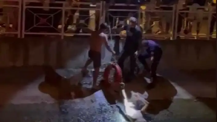 Ekiplerin uygulamasına girmemek için kanala atladı! Vatandaşlar kurtardı