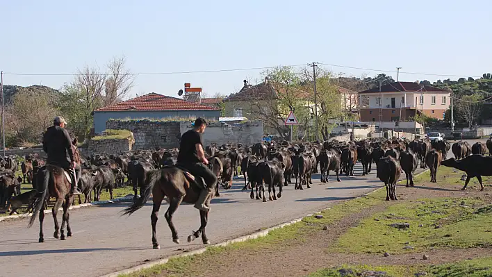 Erciyes eteğinde görsel şölen