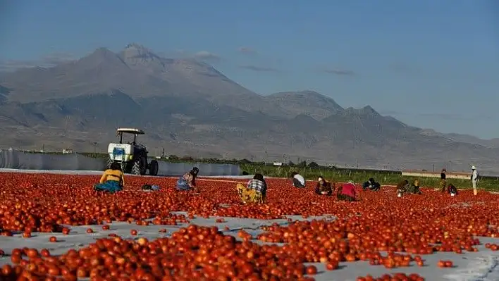 Erciyes'in etekleri kırmızıya boyandı