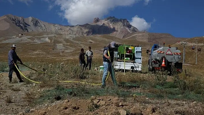 Erciyes'ten toplanan tohumlar Erciyes'e dikiliyor
