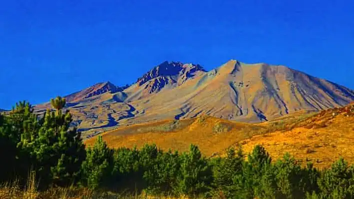 Erciyes Titrek Kavak ile yeşile dönüşür mü?