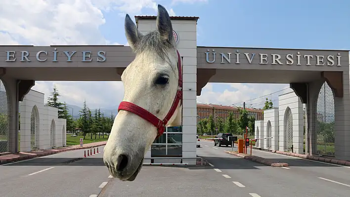 Erciyes Üniversitesi'nde at açıklaması!