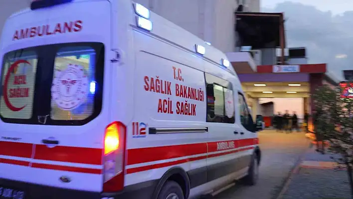 Eski kayınvalide ve üvey kızını öldürüp, eski eşini vurdu