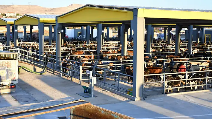 Flaş! Tehlike geçti yeniden açıldı