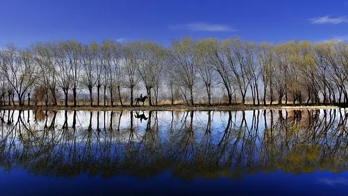 Fotoğraf yarışması sonuçlandı