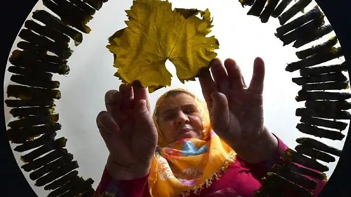 Fotoğraf Yarışmasının Ödülleri Verildi