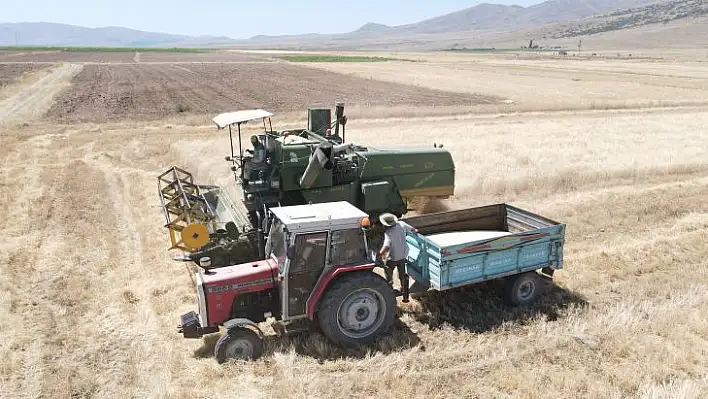 Gacerin hasadı başladı