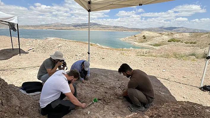 Geçmişten günümüze değişen 7.5 milyonluk canlı türleri Kayseri'de