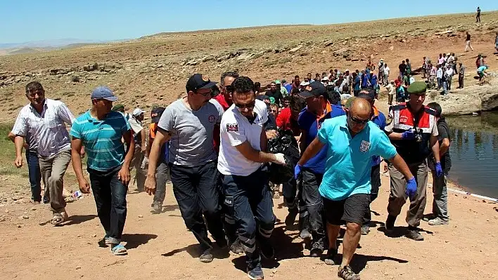 Sahipsiz koyunları gören köylüler gerçeği öğrendi