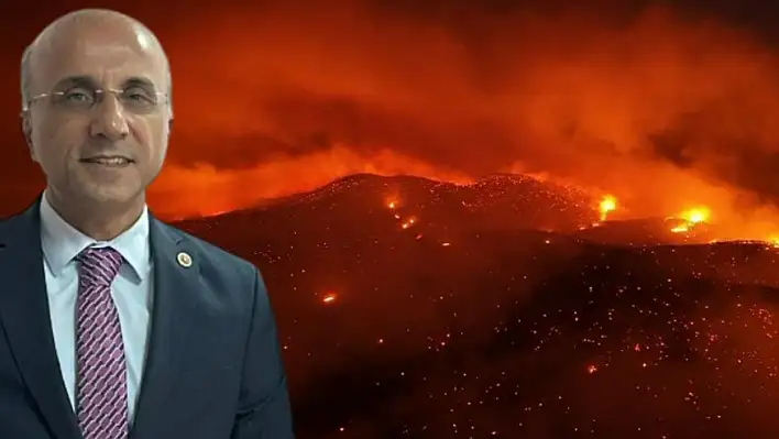 Genç: İklim Kanunu'nda doğayı korumak yok, piyasaya alan açmak var