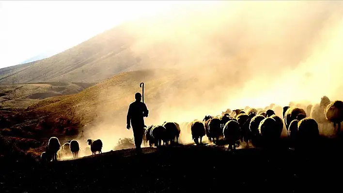 Gençler neden o mesleği yapmak istemiyor!