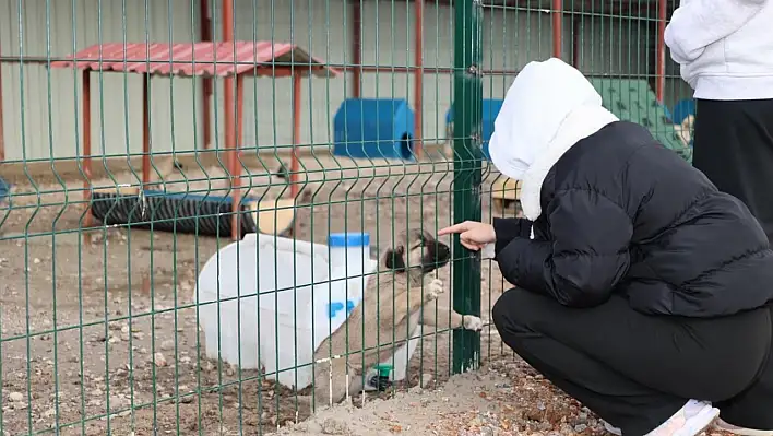 Gençlerden, sokak hayvanları için anlamlı etklinlik