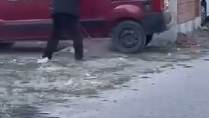 Köpeğe şiddete 71 bin 800 TL para cezası verildi
