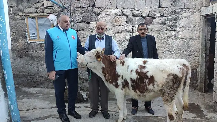 Gözü gibi baktığı danasını depremzedelere bağışladı