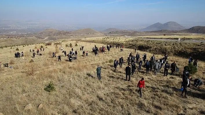 Hacılar'da yarının nefesi için 2 bin fidan dikildi