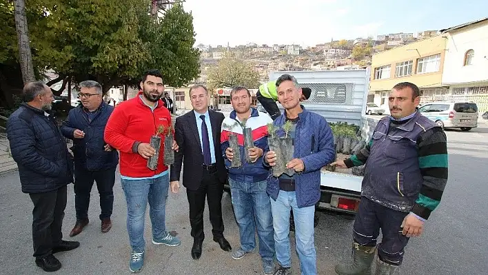 Hacılar'da yeşil bir çevre için bin fidan dağıtıldı
