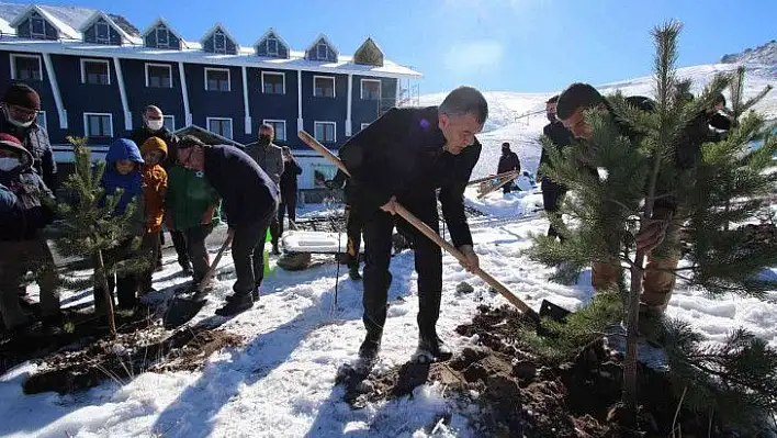 Hacılar Erciyes Kapı'da fidanlar toprakla buluştu