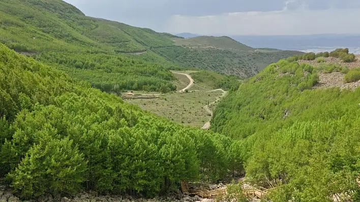 Hacılar Ortaseki, doğaseverleri bekliyor