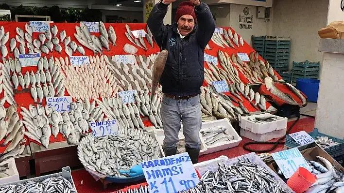 Hamsi Rusya'ya kaçtı, fiyatlar arttı