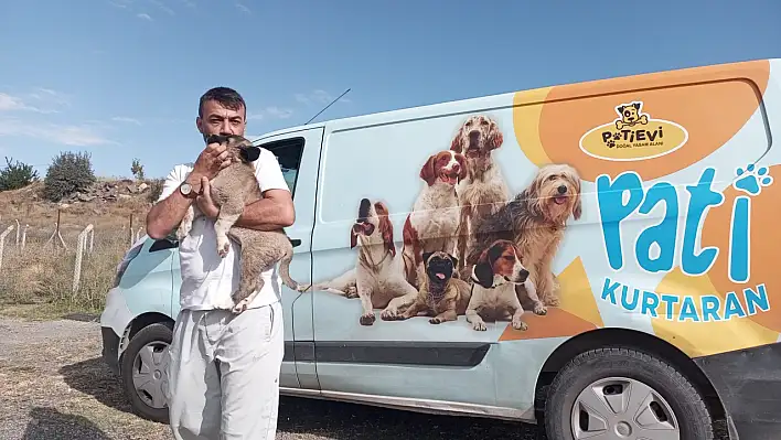 Harabe yapıya düşen köpeği Talas Belediyesi kurtardı!