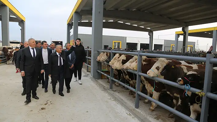 Kayseri'de hastalık nedeniyle kapatılmıştı! Açılacağı tarih belli oldu