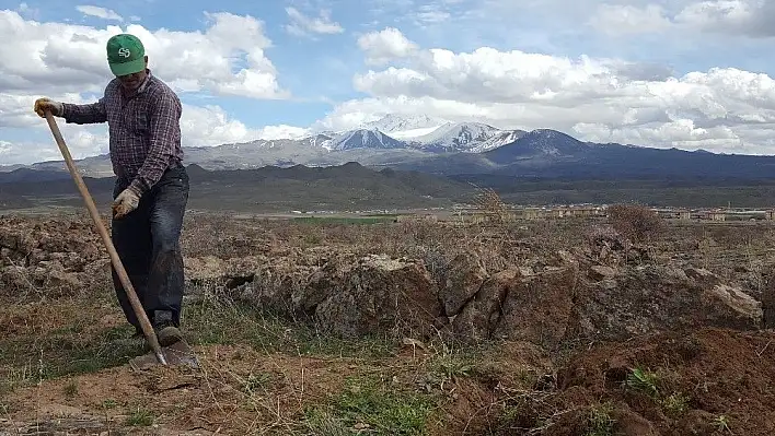 Havalar ısındı, vatandaşlar bağa akın etti