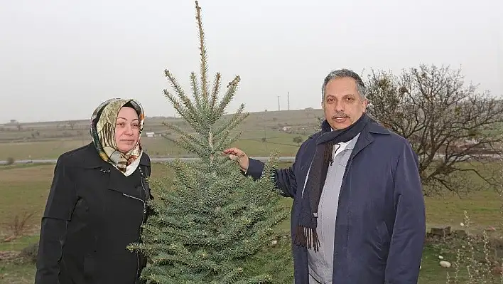 'Hayırlı Olsun' hediyeleri Talas'ı yeşillendiriyor