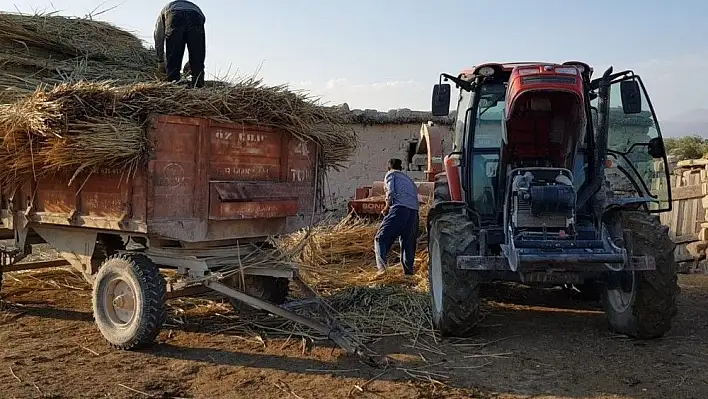 Hayvanların kışlık yiyecekleri zahmetler içinde hazırlanıyor