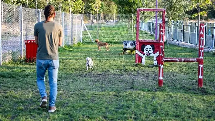 Hayvanseverlerden Patiyol'a teşekkür