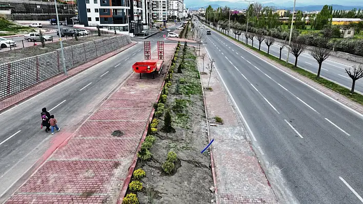Her mahalleye ağaç, her sokağa yeşil dokunuş