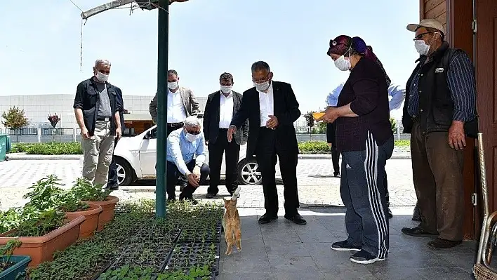 Hobi bahçeleri kriterlere uyulması şartıyla açılacak